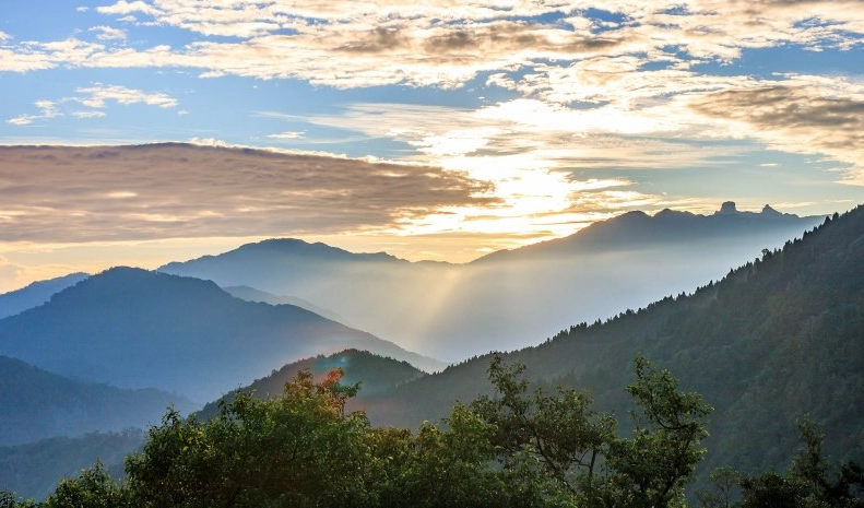 觀霧二日遊行程全攻略：交通住宿、景點步道與避坑指南