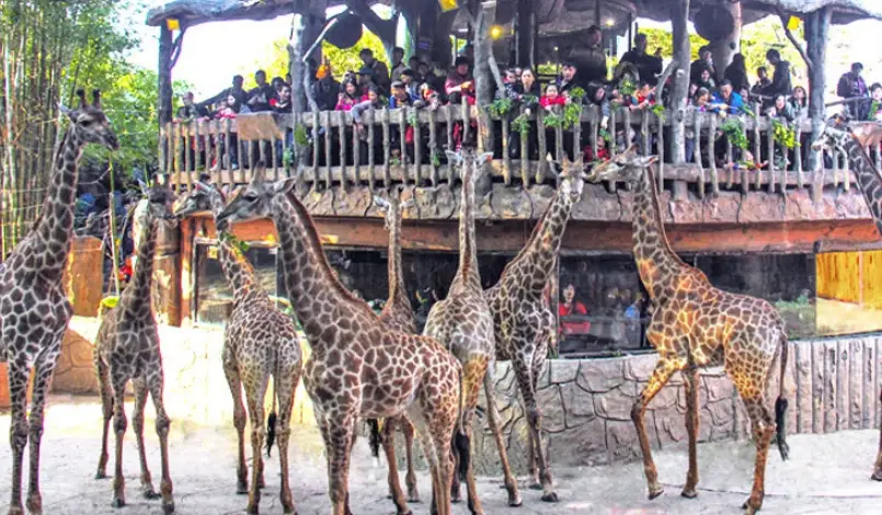 長鹿動物王國 門票