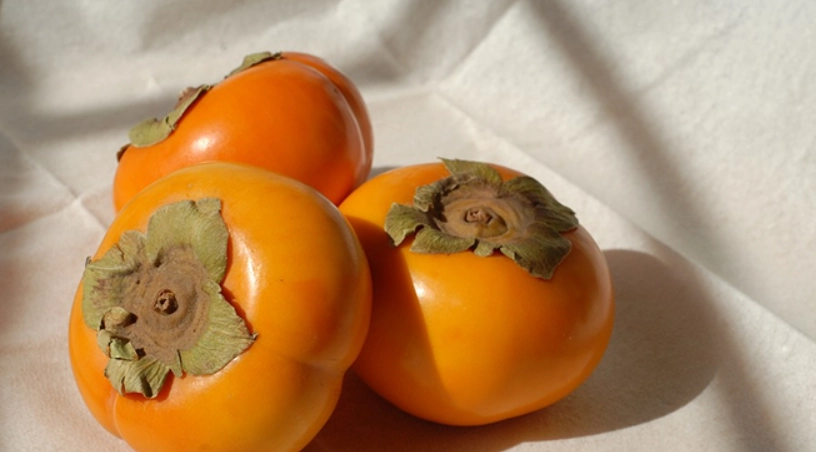 柿子一天吃幾顆