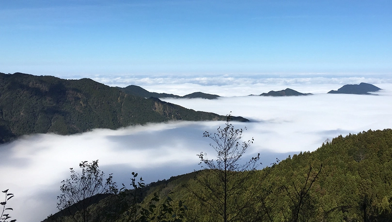 觀霧國家森林遊樂區