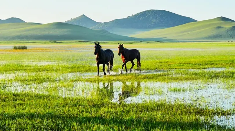 內蒙古旅遊費用全攻略：省錢預算與行程規劃一次看懂