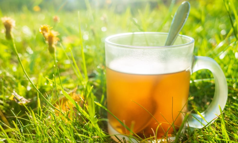 玉米鬚茶怎麼煮？零失敗黃金比例與三大秘訣公開