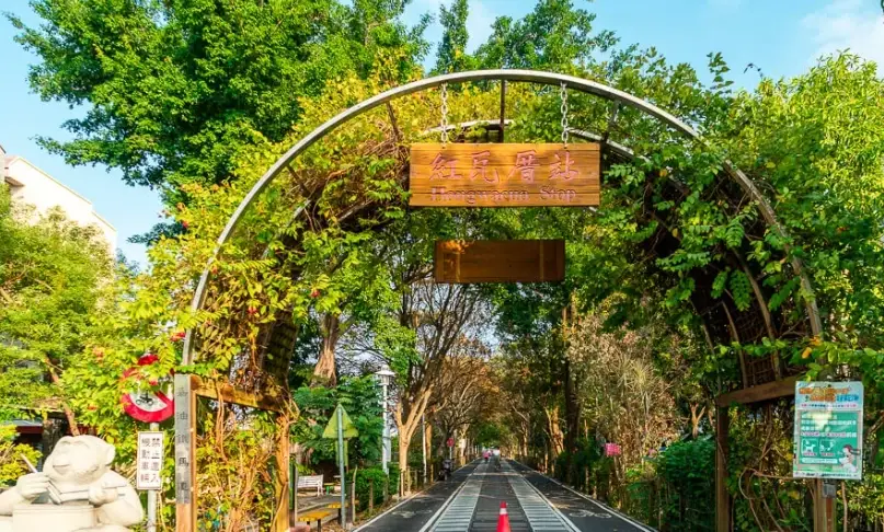 嘉義兩天一夜不開車攻略：火車公車深度遊，行程景點美食全解析