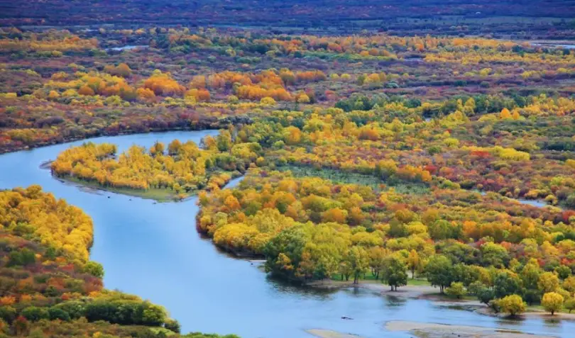呼倫貝爾草原自助遊
