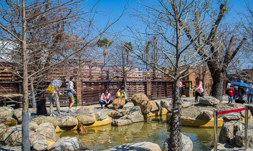 蘭陽動植物王國美食地圖｜在地人帶路，玩完必吃餐廳與隱藏版小吃