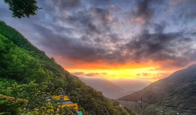 拉拉山一日遊攻略：神木步道、交通、行程規劃全解析