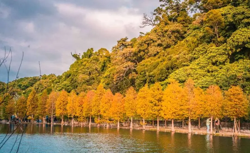 大溪景點全攻略：老街、神社、自然風光一次收藏