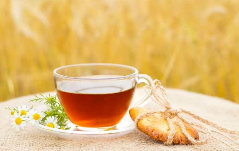 麥茶怎麼煮？掌握3大關鍵步驟，煮出甘醇不苦澀的完美麥茶