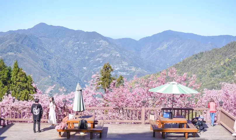 桃園拉拉山交通