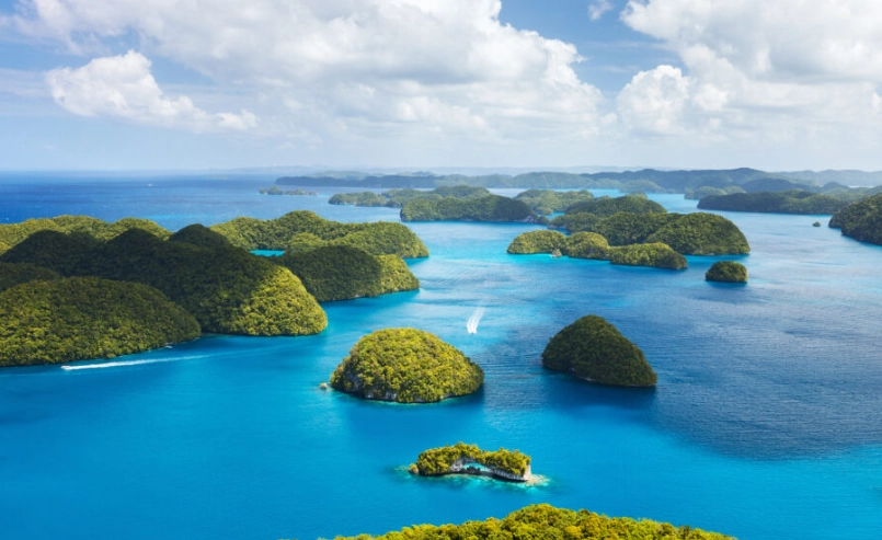 帛琉旅遊推薦：潛水景點、美食住宿與行程規劃全攻略