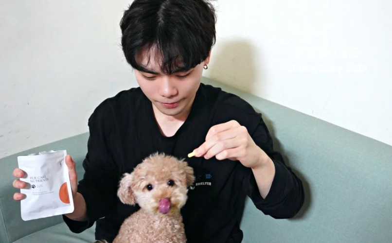 狗狗掉毛怎麼辦