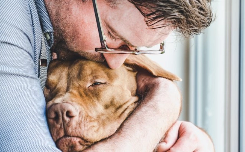 失去寵物如何走出來