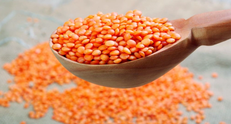 紅扁豆營養成分全解析：健康飲食的隱藏寶藏