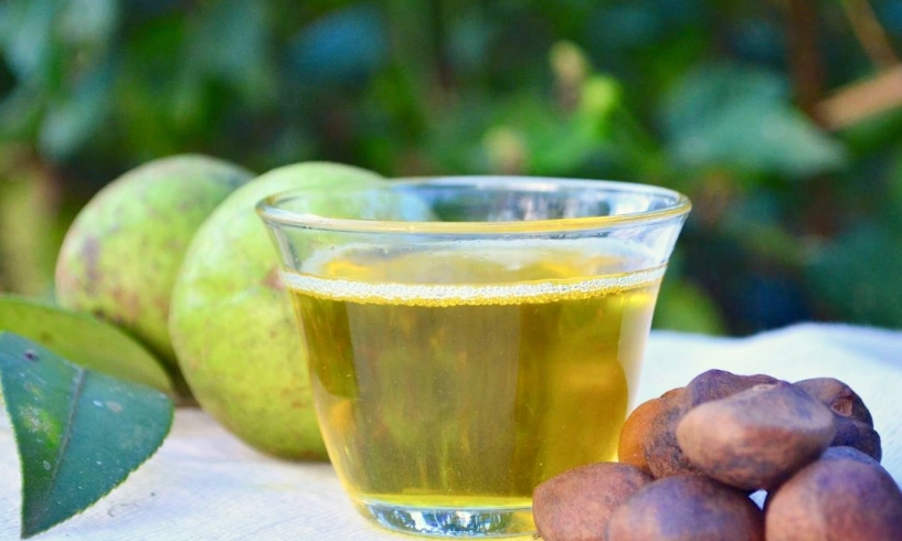 苦茶油功效全解析：護膚、降膽固醇，東方橄欖油的挑選與吃法