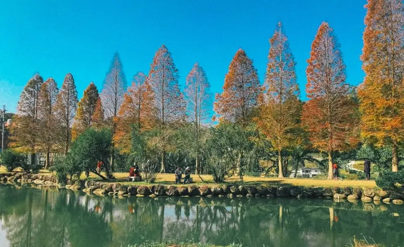 新竹景點一日遊攻略：風城慢活與科技人文的完美路線