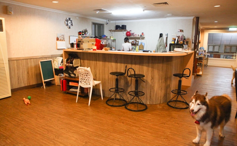 新竹帶狗咖啡廳