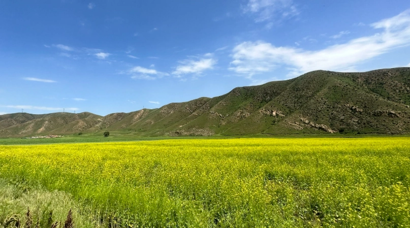 呼和浩特草原终极指南：交通住宿玩法全攻略，避坑就看這篇