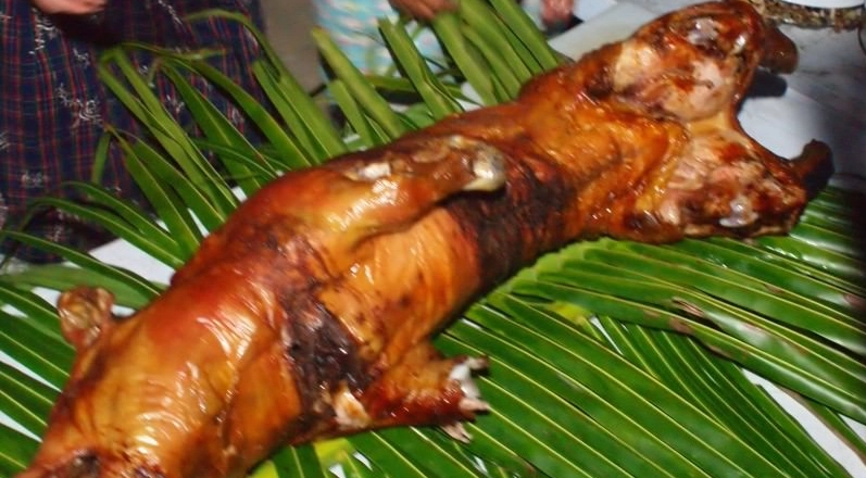 宿霧自由行預算