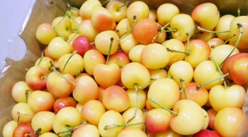 白櫻桃功效全解析：從營養到實用吃法，一次搞懂白色櫻桃的好處