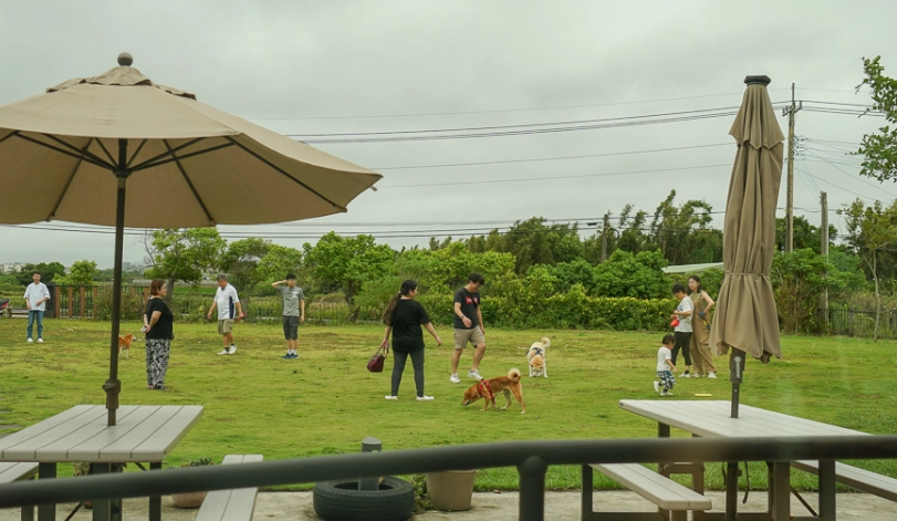 新竹帶狗咖啡廳