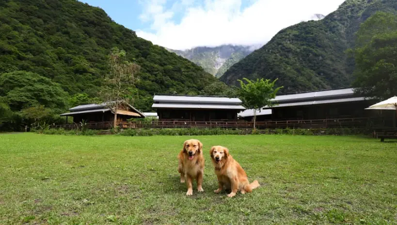 帶狗去太魯閣