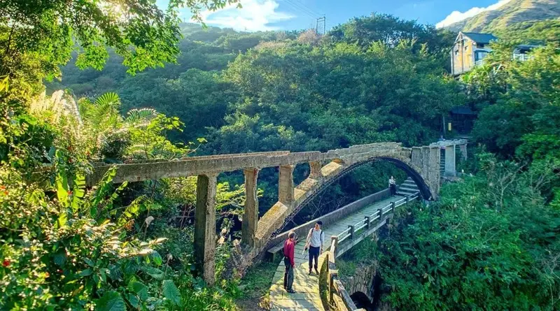 新北步道像在歐洲？精選三條絕美森林步道，彷彿置身阿爾卑斯山腳
