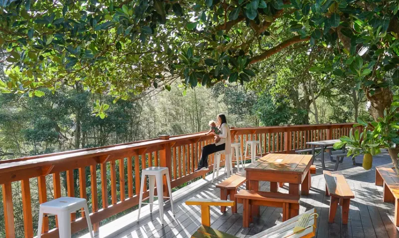 新竹寵物友善咖啡廳全攻略：地址、營業時間與帶毛孩心得