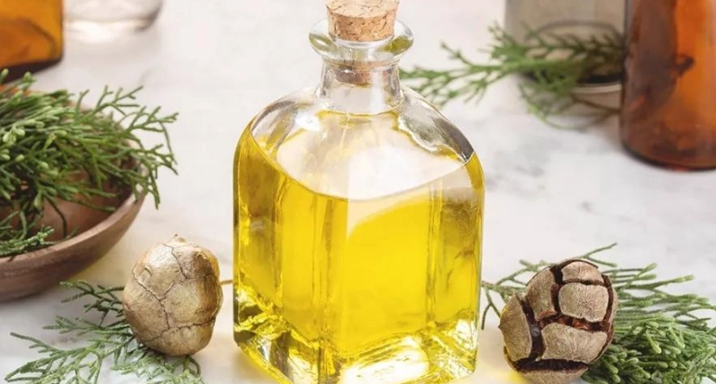 絲柏精油改善靜脈曲張：專家教你正確用法與配方