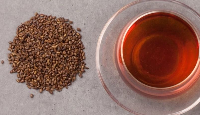 決明子麥茶怎麼泡才好喝？黃金比例、步驟與常見QA一次看