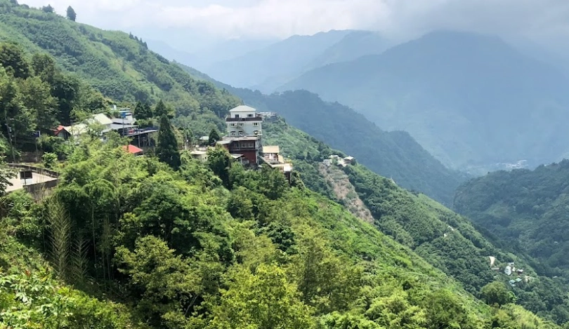 拉拉山達觀山神木群攻略：交通、步道、季節與必看巨木全解析