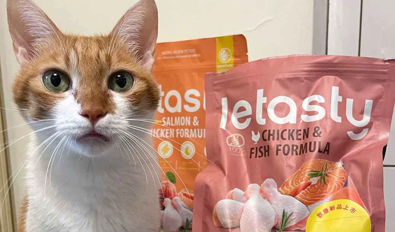 貓飼料比較