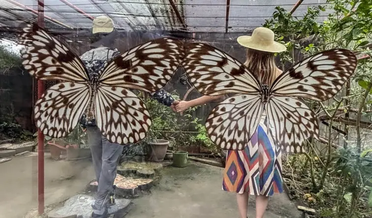 宿霧自由行預算