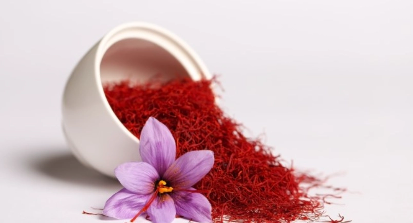番紅花用途
