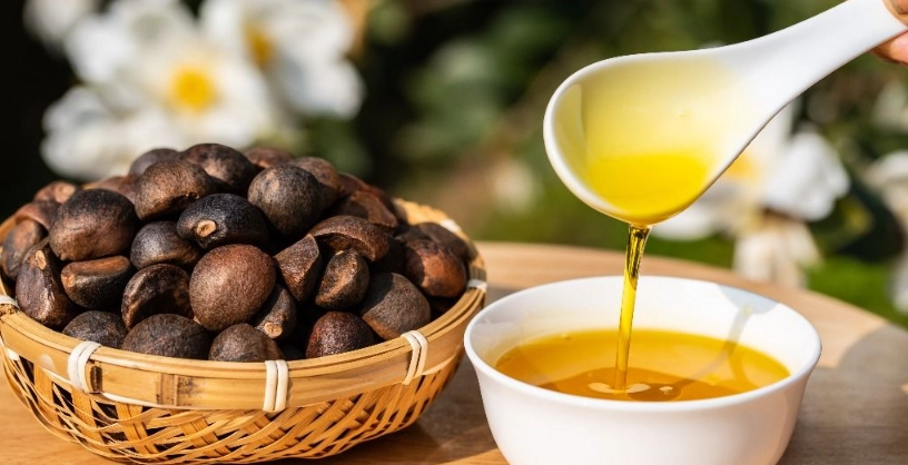 空腹喝苦茶油真的有效嗎？完整功效、風險與正確喝法一次看