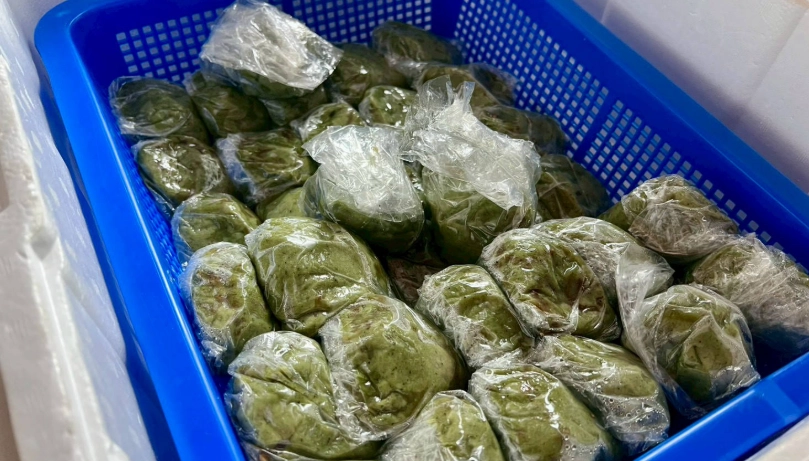 阿里山三天兩夜行程 阿里山三天兩夜行程