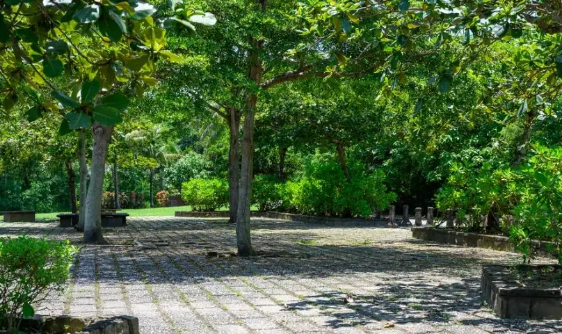 渚橋休憩區咖啡：不只是休息站，更是秘境裡的咖啡驚喜