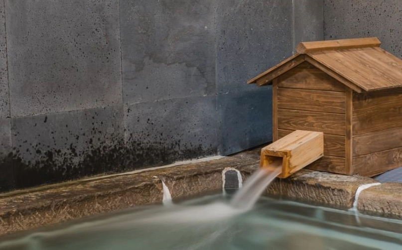 溫泉一日遊行程 溫泉一日遊行程