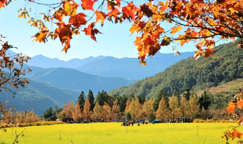 武陵農場附近景點一日遊攻略：三大必訪秘境與交通路線