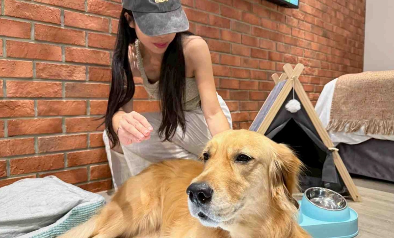 花蓮寵物友善推薦：帶毛小孩暢遊東台灣的完整指南