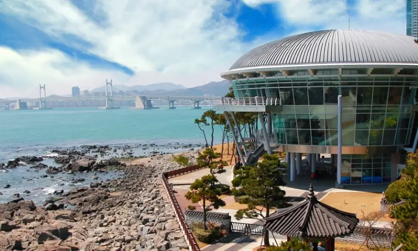 釜山美食 釜山美食