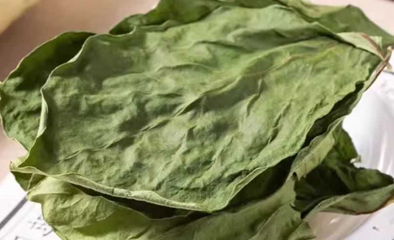 柿葉茶適合人群