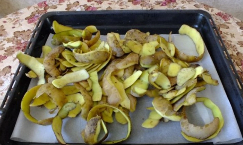 廚餘堆肥 廚餘堆肥