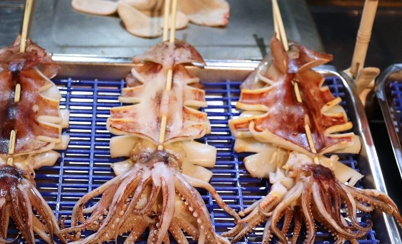 新北公共交通旅遊 新北公共交通旅遊