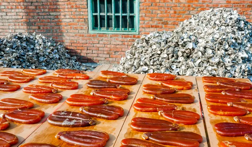 雲林特產 雲林特產