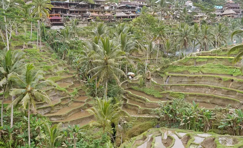 德格拉朗梯田門票 德格拉朗梯田門票