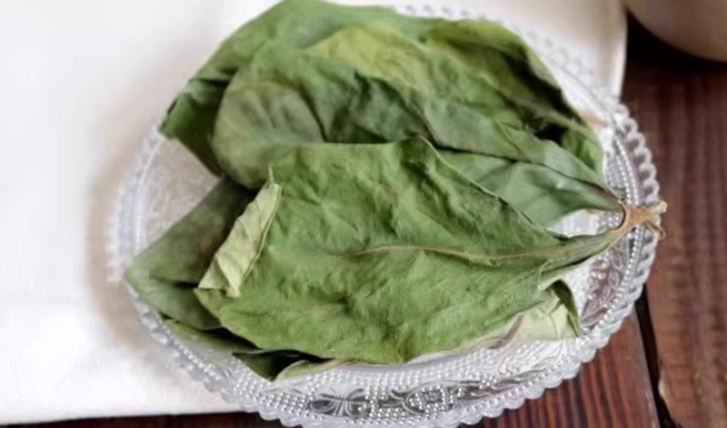 柿葉茶禁忌全解析：哪些人不能喝？安全飲用指南