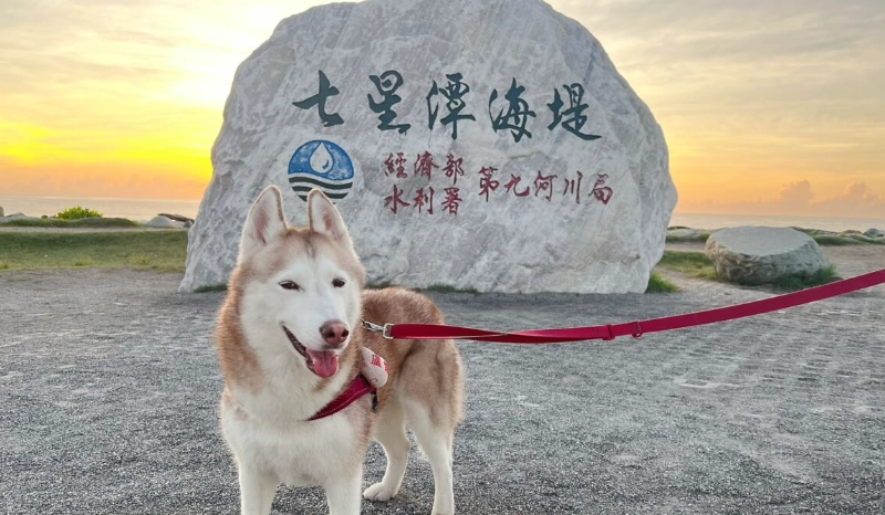 花蓮帶寵物旅遊 花蓮帶寵物旅遊