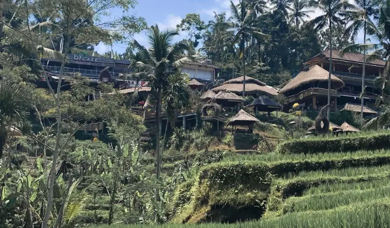 峇里島梯田 峇里島梯田