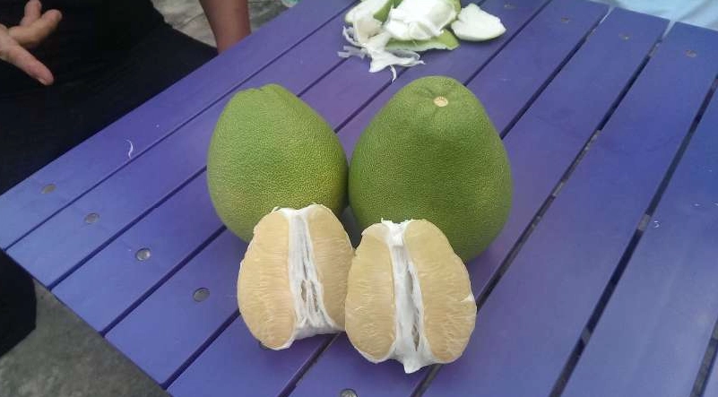 雲林美食 雲林美食