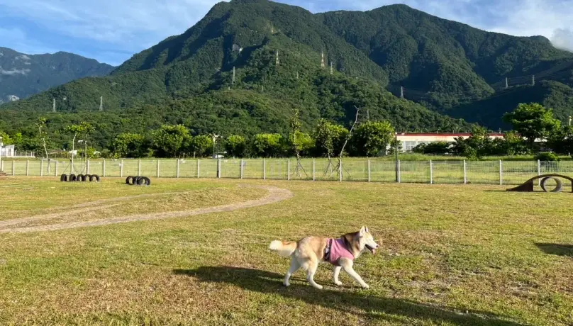 寵物友善住宿花蓮 寵物友善住宿花蓮